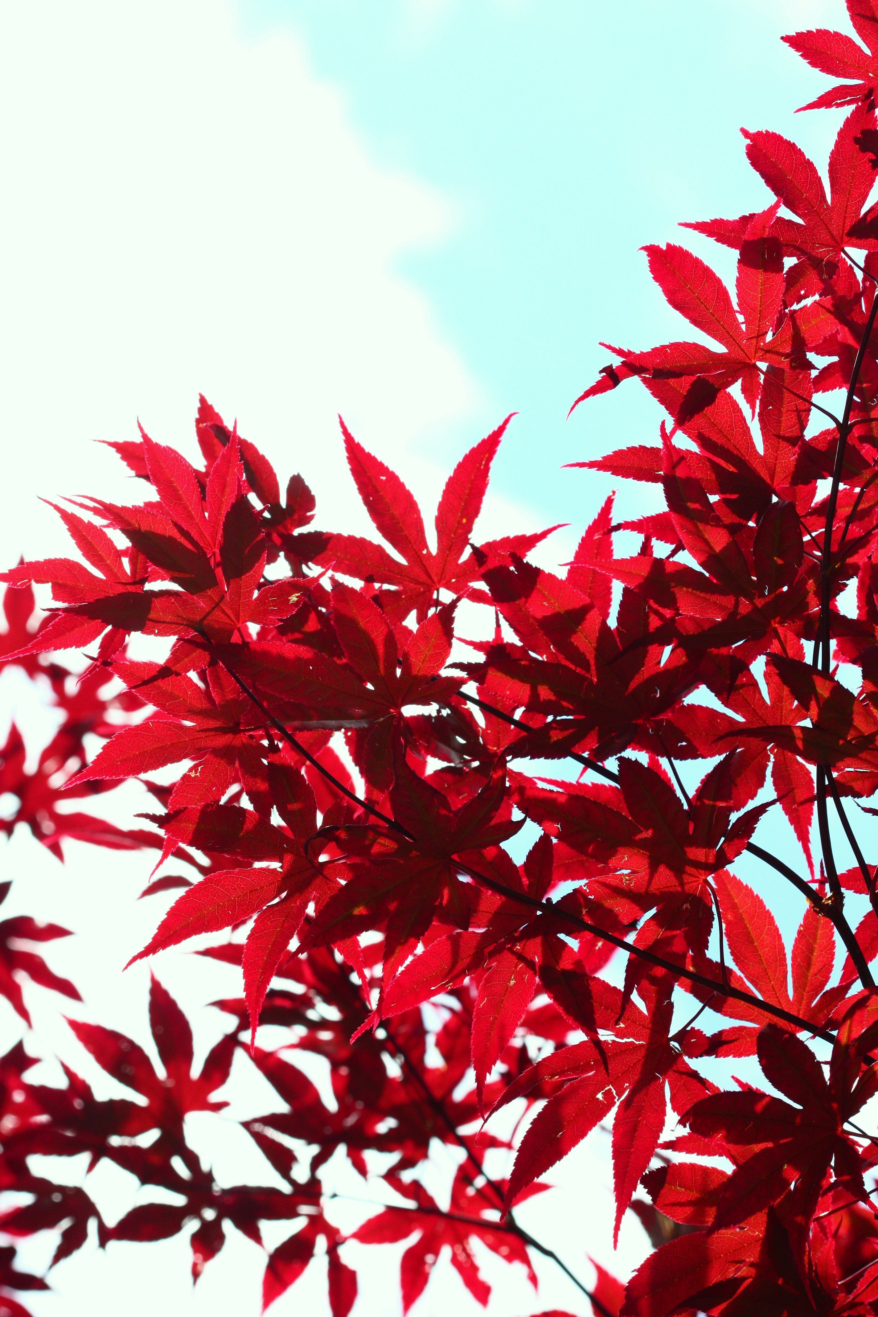 Mailing List, New Site and Recent Writing